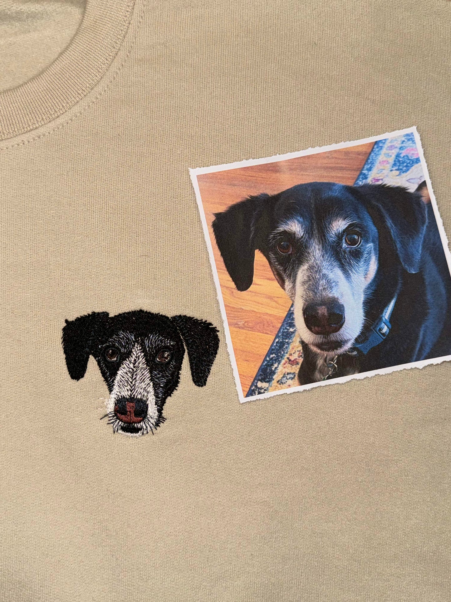 Custom Embroidered Pet Sweatshirt for 3-4 Pets